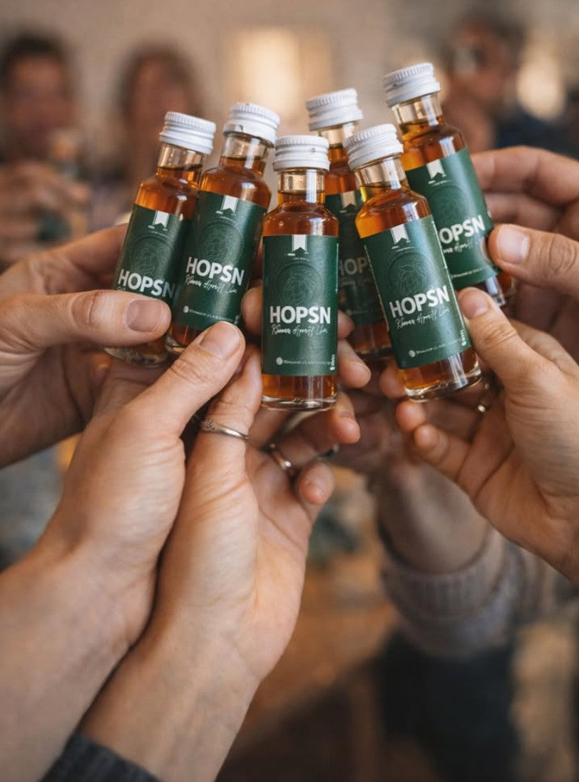 HOPSN - RHÖNER APERITIFLIKÖR MINIS 24x0,02l